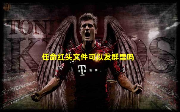任命红头文件可以发群里吗