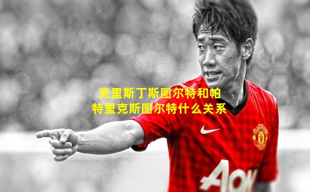 克里斯丁斯图尔特和帕特里克斯图尔特什么关系