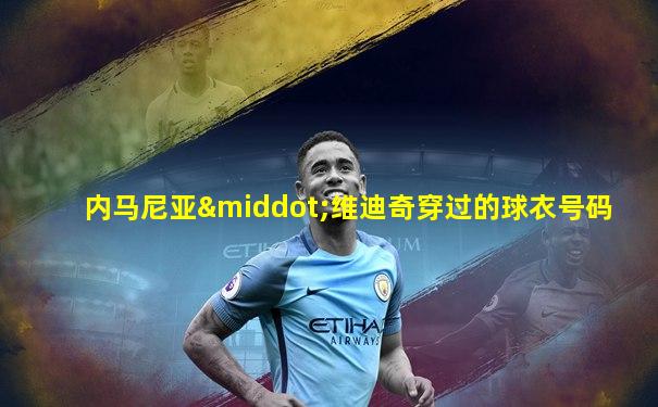 内马尼亚·维迪奇穿过的球衣号码
