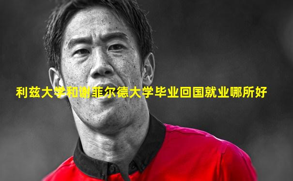 利兹大学和谢菲尔德大学毕业回国就业哪所好