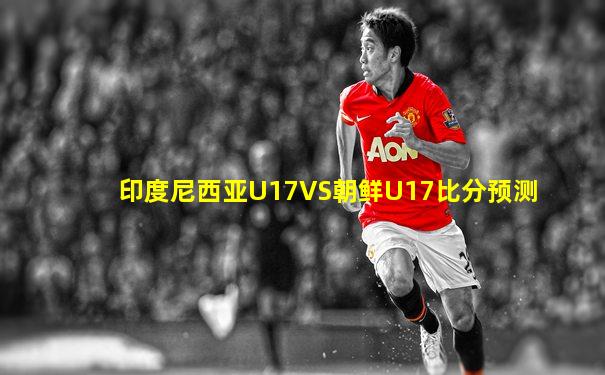 印度尼西亚U17VS朝鲜U17比分预测