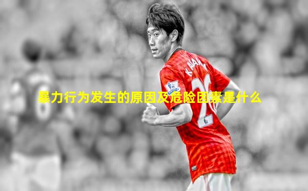 暴力行为发生的原因及危险因素是什么
