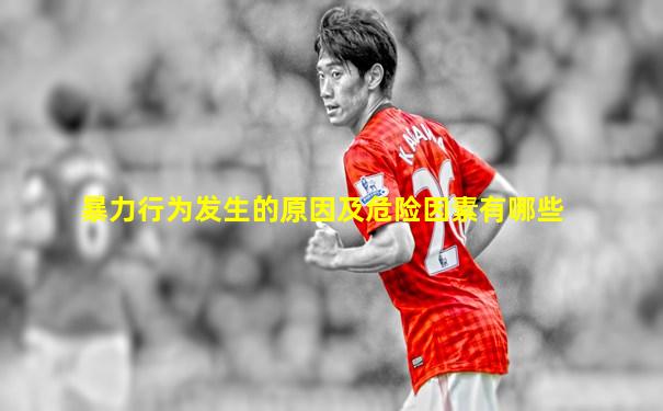 暴力行为发生的原因及危险因素有哪些