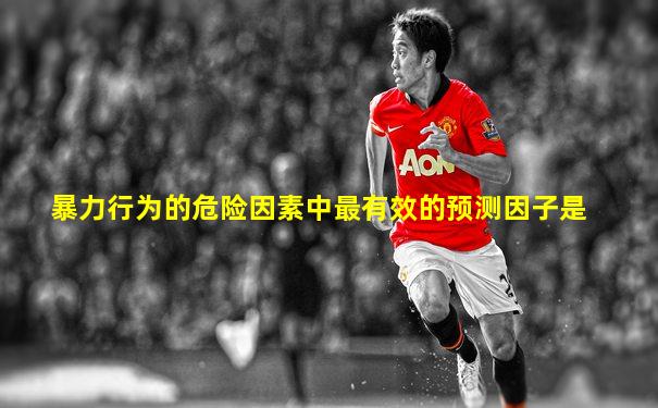 暴力行为的危险因素中最有效的预测因子是