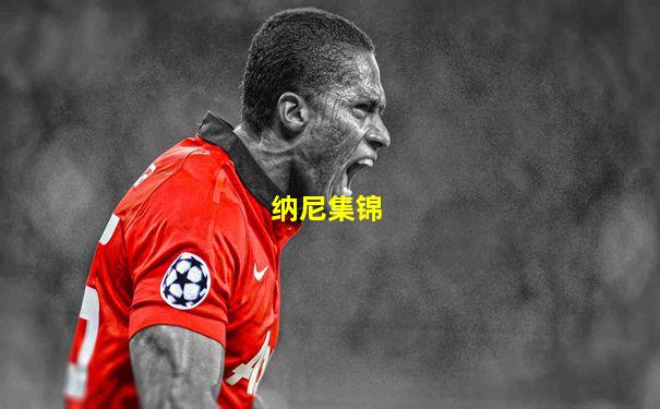 纳尼集锦