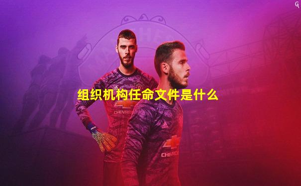 组织机构任命文件是什么