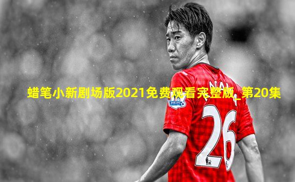 蜡笔小新剧场版2021免费观看完整版_第20集