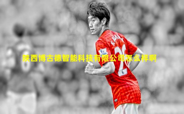 陕西博古德智能科技有限公司怎么样啊